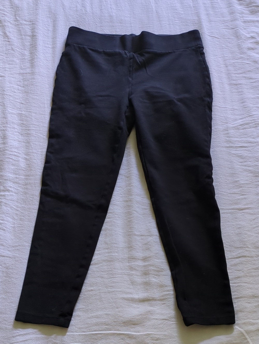 LOFT Black Women's Slim Stretch Ponte
